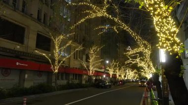 TOKYO ILLUMILIA 2024 Yaesu Nihonbashi illumination