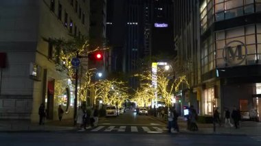 TOKYO ILLUMILIA 2024 Yaesu Nihonbashi illumination