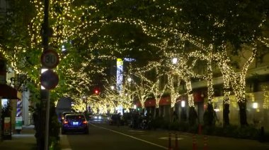 TOKYO ILLUMILIA 2024 Yaesu Nihonbashi illumination