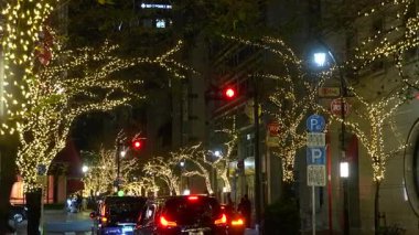 TOKYO ILLUMILIA 2024 Yaesu Nihonbashi illumination