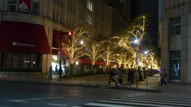 TOKYO ILLUMILIA 2024 Yaesu Nihonbashi illumination