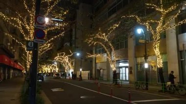 TOKYO ILLUMILIA 2024 Yaesu Nihonbashi illumination