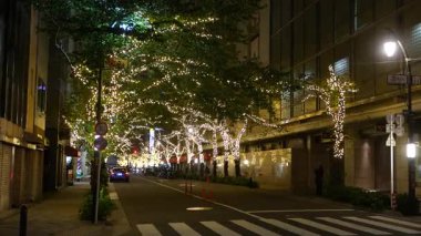 TOKYO ILLUMILIA 2024 Yaesu Nihonbashi illumination