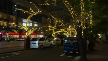 TOKYO ILLUMILIA 2024 Yaesu Nihonbashi illumination