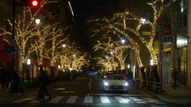 TOKYO ILLUMILIA 2024 Yaesu Nihonbashi illumination