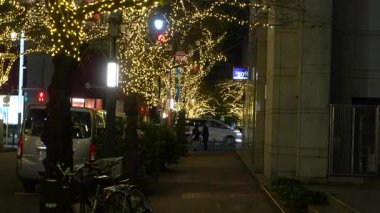 TOKYO ILLUMILIA 2024 Yaesu Nihonbashi illumination