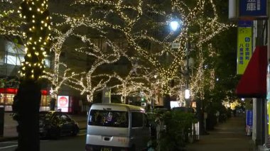 TOKYO ILLUMILIA 2024 Yaesu Nihonbashi illumination