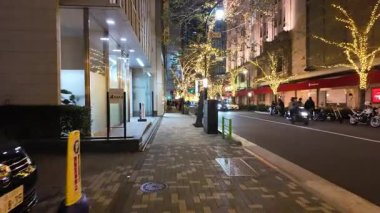 TOKYO ILLUMILIA 2024 Yaesu Nihonbashi illumination