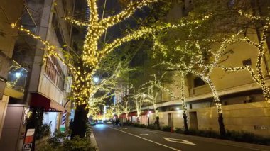 TOKYO ILLUMILIA 2024 Yaesu Nihonbashi illumination