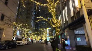 TOKYO ILLUMILIA 2024 Yaesu Nihonbashi illumination