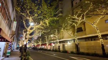 TOKYO ILLUMILIA 2024 Yaesu Nihonbashi illumination