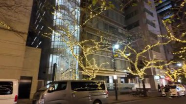 TOKYO ILLUMILIA 2024 Yaesu Nihonbashi illumination