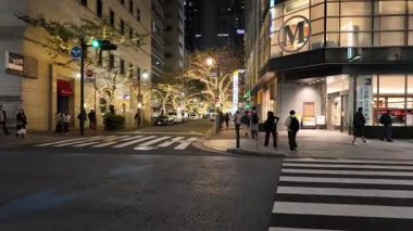 TOKYO ILLUMILIA 2024 Yaesu Nihonbashi illumination