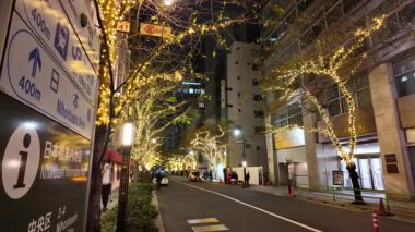 TOKYO ILLUMILIA 2024 Yaesu Nihonbashi illumination