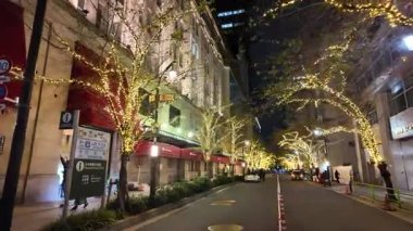 TOKYO ILLUMILIA 2024 Yaesu Nihonbashi illumination