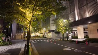 TOKYO ILLUMILIA 2024 Yaesu Nihonbashi illumination