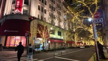 TOKYO ILLUMILIA 2024 Yaesu Nihonbashi illumination