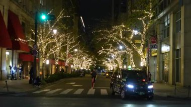 TOKYO ILLUMILIA 2024 Yaesu Nihonbashi illumination