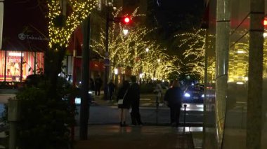 TOKYO ILLUMILIA 2024 Yaesu Nihonbashi illumination