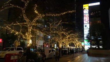 TOKYO ILLUMILIA 2024 Yaesu Nihonbashi illumination