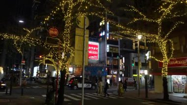 TOKYO ILLUMILIA 2024 Yaesu Nihonbashi illumination