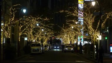 TOKYO ILLUMILIA 2024 Yaesu Nihonbashi illumination