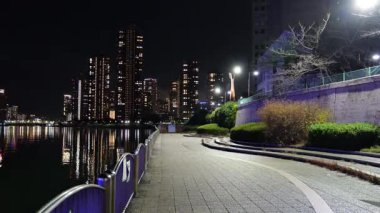 Sumida River Night View, Tokyo Japan 2025