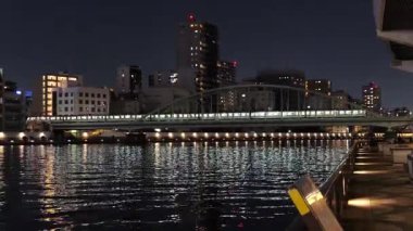 Sumida River Night View, Tokyo Japan 2025