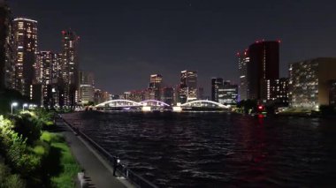 Sumida River Night View, Tokyo Japan 2025