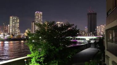 Sumida River Night View, Tokyo Japan 2025