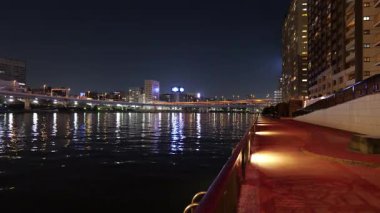 Sumida River Night View, Tokyo Japan 2025