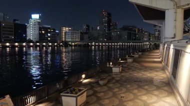 Sumida River Night View, Tokyo Japan 2025