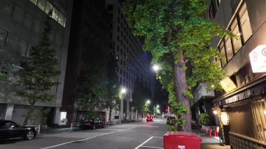 Nihonbashi Redevelopment, Japan Night View May 2024