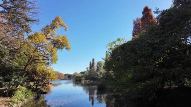 Inokashira Park Autumn leaves, Japan Tokyo 2024