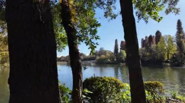 Inokashira Park Autumn leaves, Japan Tokyo 2024