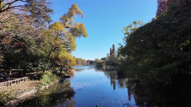 Inokashira Park Autumn leaves, Japan Tokyo 2024