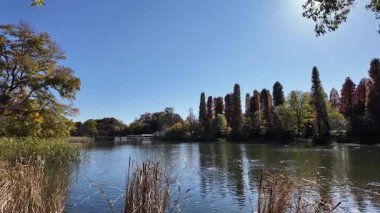 Inokashira Park Autumn leaves, Japan Tokyo 2024