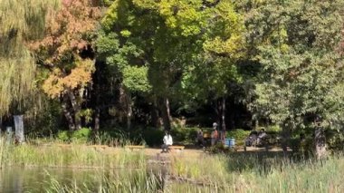 Inokashira Park Autumn leaves, Japan Tokyo 2024