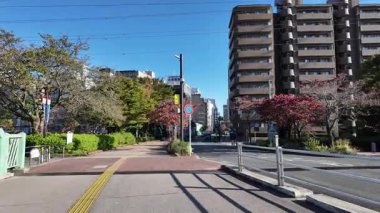 Shin-Yokohama, Japan Landscape Day 2024