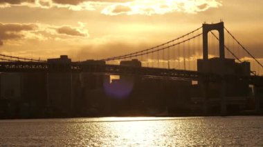 Tokyo Rainbow Bridge Evening View 2025