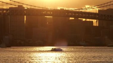 Tokyo Rainbow Bridge Evening View 2025