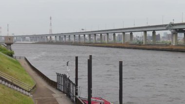 Arakawa nehir yatağı, Japonya Tokyo 2025