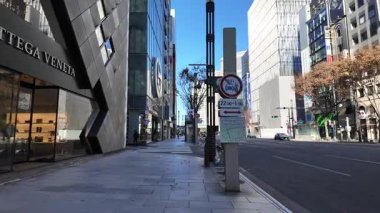 Ginza, Japonya Tokyo Yeni Yıl Günü 2025