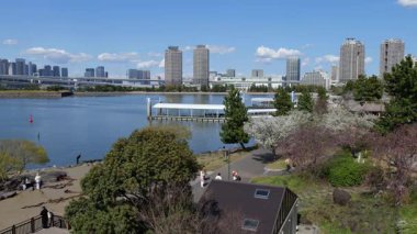 Odaiba Sahil Parkı Kiraz Çiçekleri, Japonya Tokyo 2025