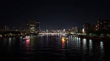 Tokyo Sumida Nehri Yürüyüş Gecesi Görünümü Nisan 2025