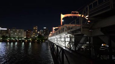 Tokyo Sumida Nehri Yürüyüş Gecesi Görünümü Nisan 2025