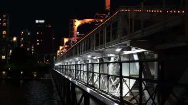 Tokyo Sumida Nehri Yürüyüş Gecesi Görünümü Nisan 2025