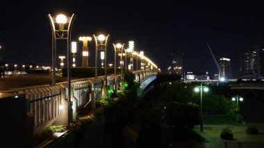 Odaiba Merkezi Gezinti Alanı, Tokyo Japonya Gece Manzarası 2025