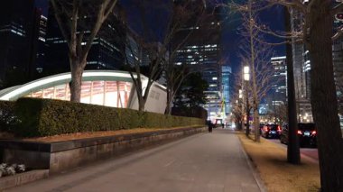 Marunouchi, Tokyo Japon Gece Manzarası Ocak 2025