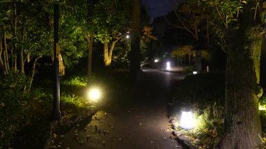 Yasuda Garden Kış Işığı, Japonya Tokyo 2024